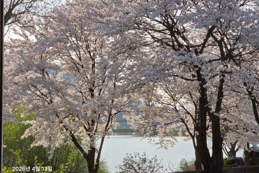 노을녘 4번째 이미지