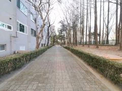 분당 3룸 아파트 18번째 이미지