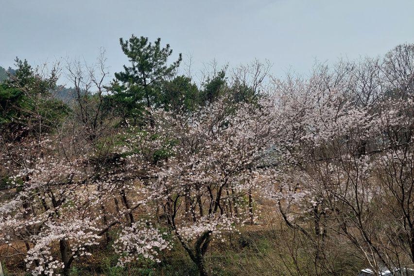 양산대병원부근 오봉산앞 18번째 이미지