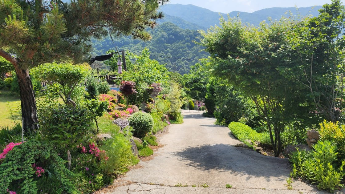 A detached house with a beautiful garden 12th image