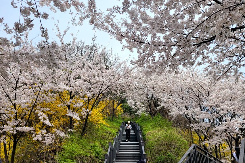 ㅁㅇ 4번째 이미지