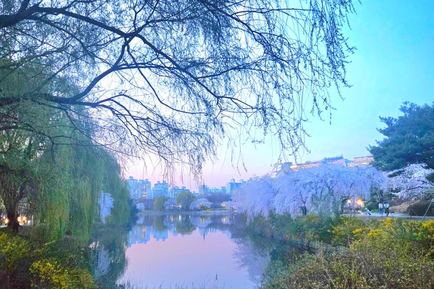 오픈특가💙깔끔복층N8 15번째 이미지