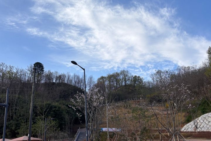 영일대 부엉이 하우스 18번째 이미지