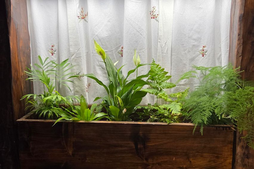 제주 머물다 13번째 이미지