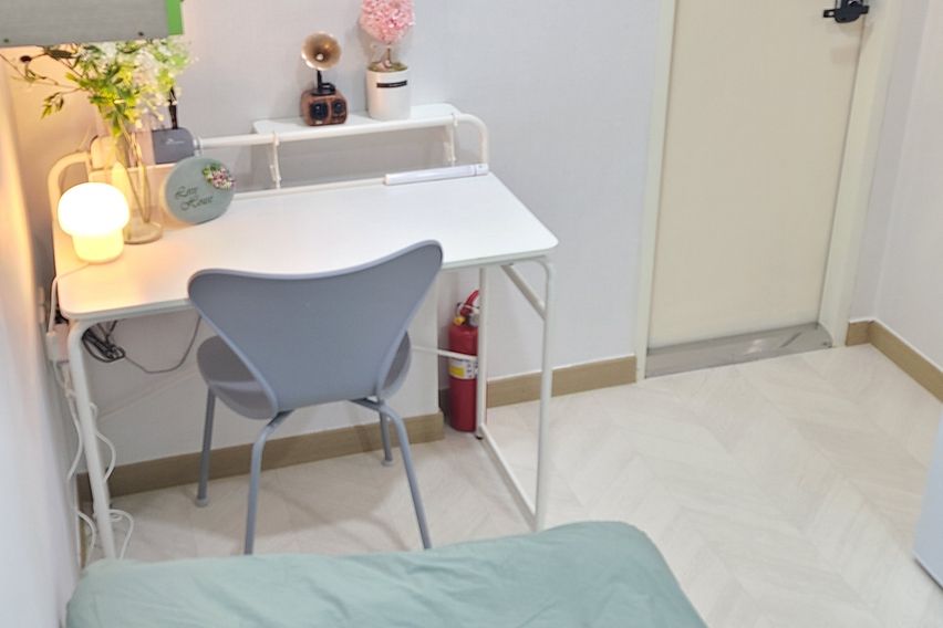 227스테이-스탠다드