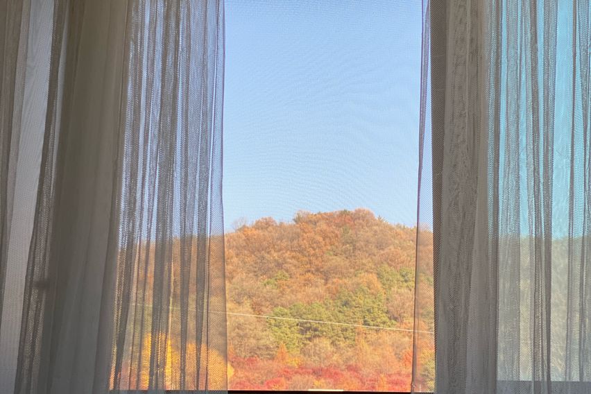 단기스테이1 5번째 이미지