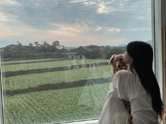 바다앞 감성독채 하도별 17번째 이미지