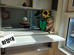 동탄 주차 가능 오피텔 2번째 이미지