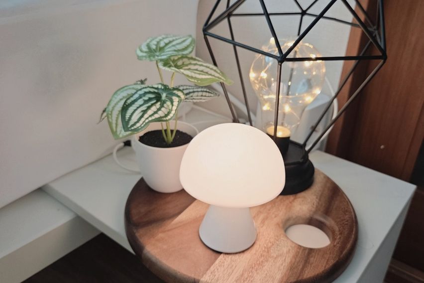 🌷서울대입구역3분☘️