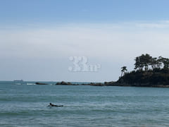 (Peak Season) Jinha Beach 12th image