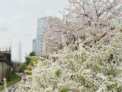 워커힐 한강뷰 파노라마 19번째 이미지
