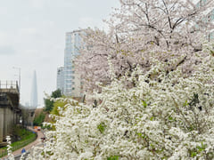Walkerhill Han River Panoramic View 19th image