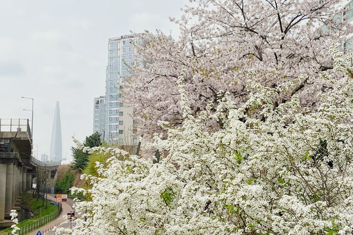 워커힐 한강뷰 파노라마 19번째 이미지