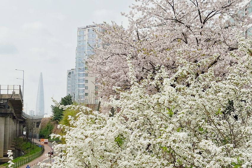 워커힐 한강뷰 파노라마
