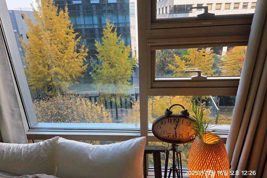 광화문경복궁 종로 시청 8번째 이미지