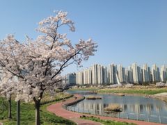 게스트가인정한깔끔한🏡 11번째 이미지