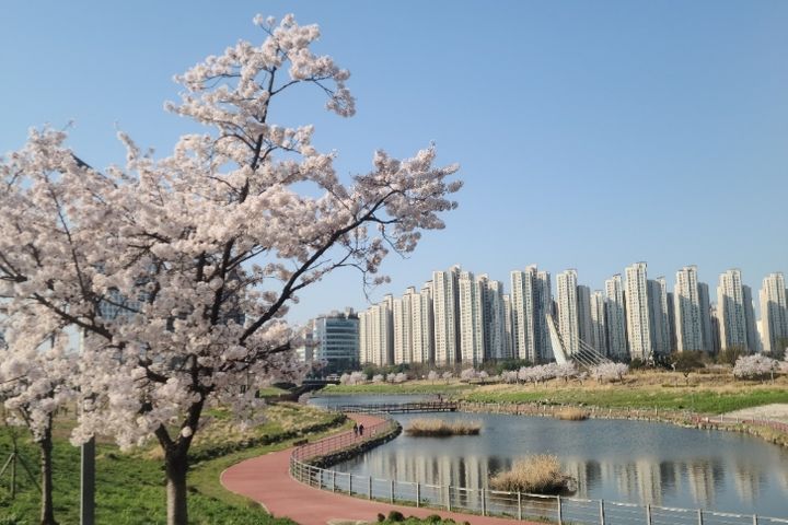 게스트가인정한깔끔한🏡 11번째 이미지