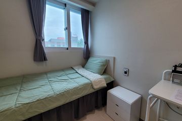 Oasis 306