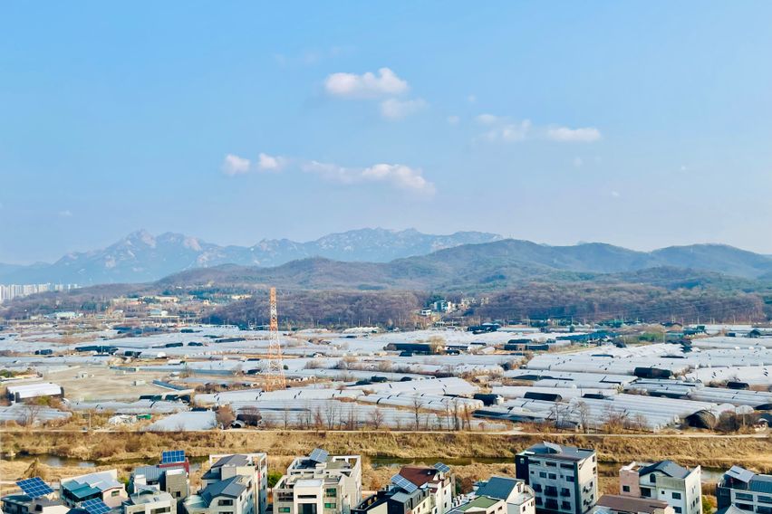 펫 친화적 신축 오피🐶