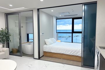 🌊연화402스테이🌊