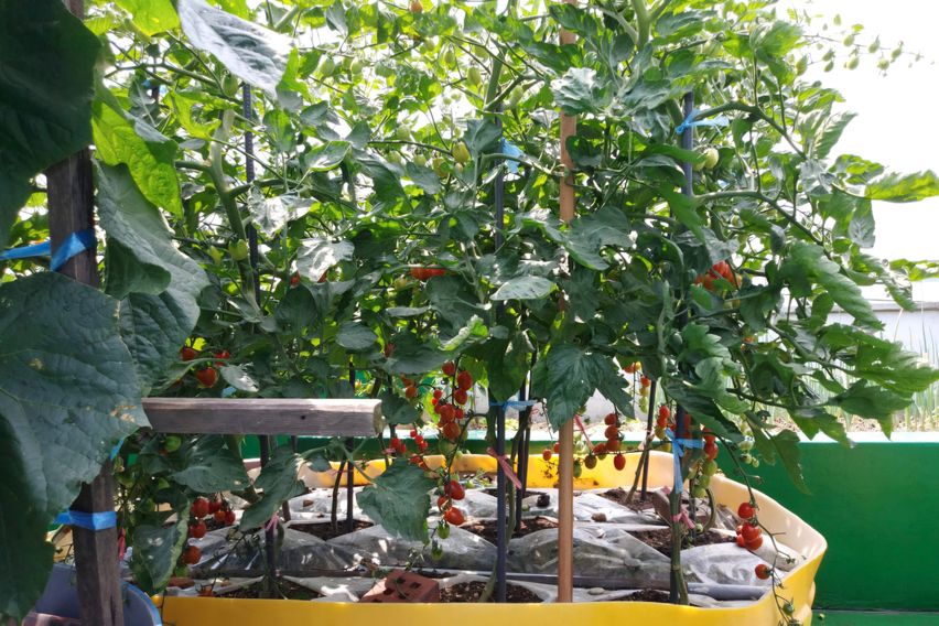 부천역5분,깔끔원룸#4 18번째 이미지