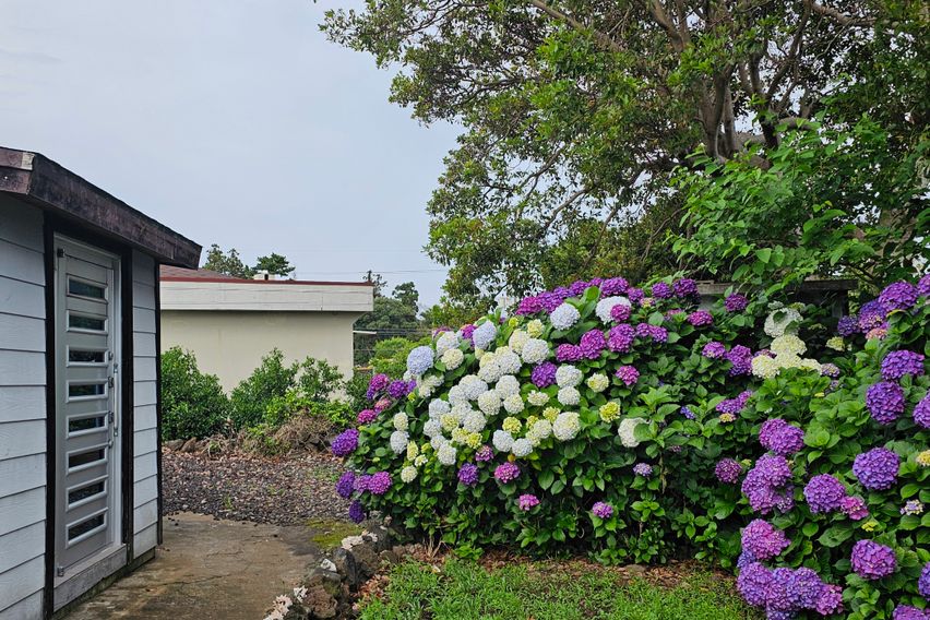 위미리 독채투룸 마당집