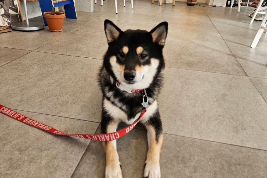 ㅇㅇㅇㅇㅇ 2번째 이미지