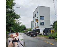 반려묘와 함께 1.5룸 12번째 이미지