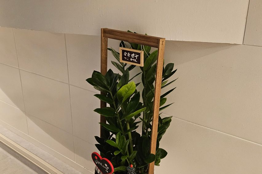 스탠다드미니룸4