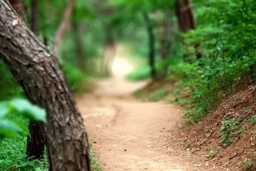 청구빌라303호방A호 12번째 이미지