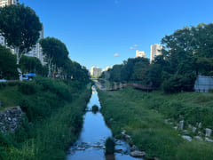 초역세권 남동향 17평 9번째 이미지