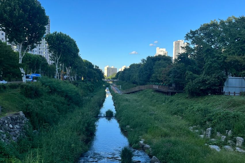 초역세권 남동향 17평