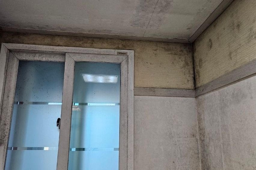 가성비 끝판왕 14번째 이미지