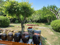 350-pyeong country house 7th image