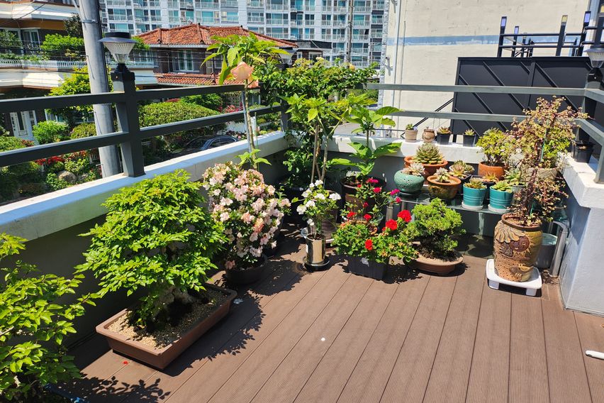 지현이네 단독펜션 2층