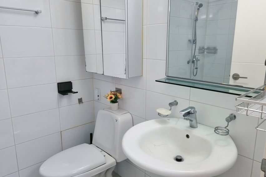 오픈 특가❤️당산 홍대