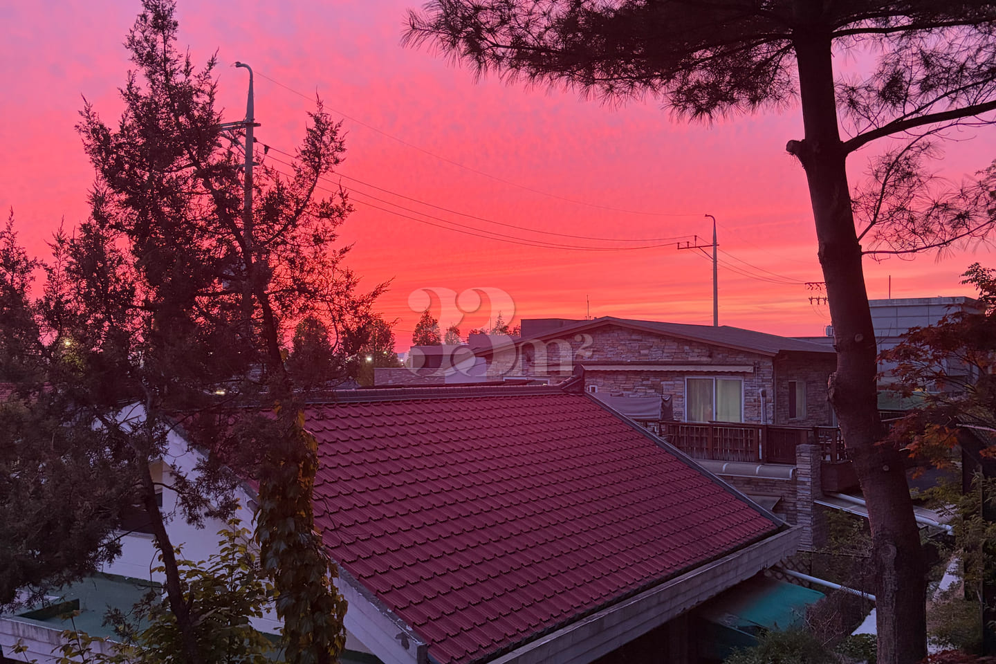 A room with a view. 12th image