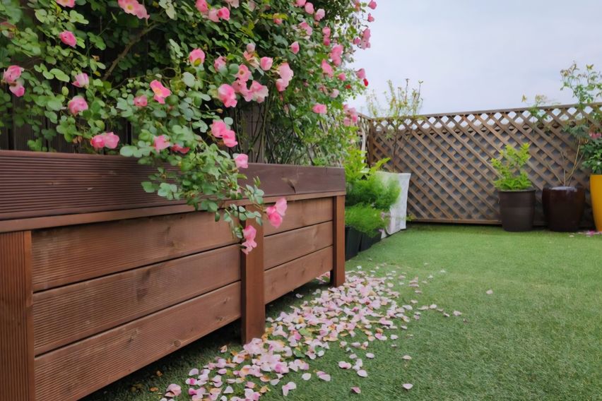 루프탑이 있는 하바나 13번째 이미지