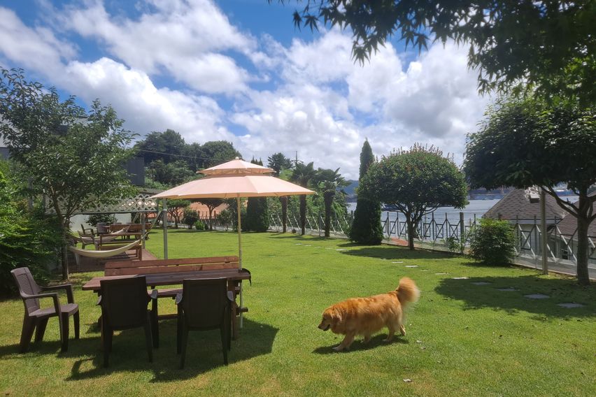 네스트하우스독채(애견)