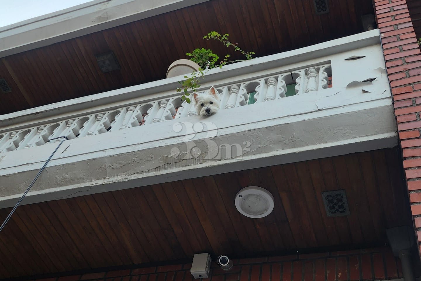 Haebangchon detached house – women only 5th image
