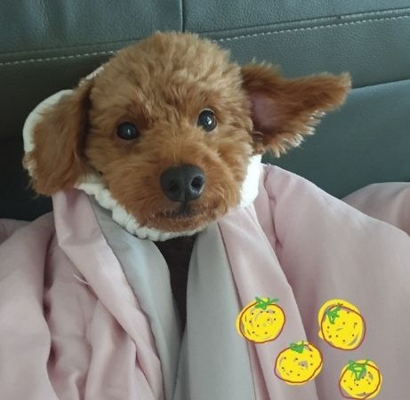 원주 우산동 J204호 1번째 이미지