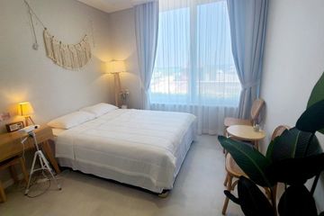 속초살이102호