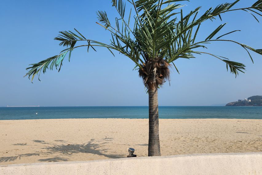 여유가 있는 휴식 18번째 이미지