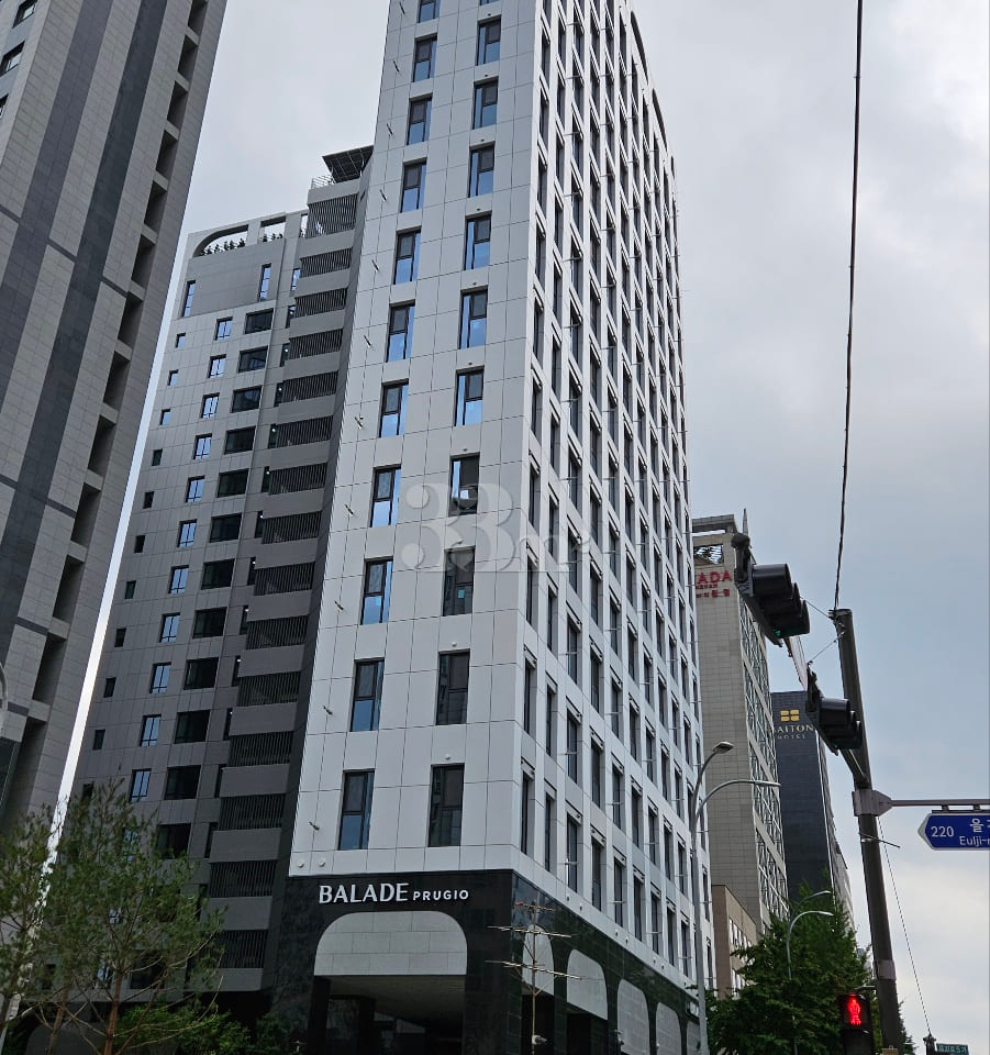 Euljiro fully furnished duplex 11th image