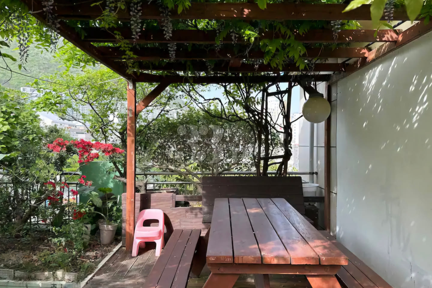 Plant house 18th image