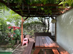 Plant house 18th image
