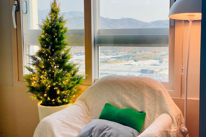 펫 친화적 신축 오피🐶