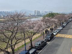 태화강국가정원 담긴집♧ 19번째 이미지