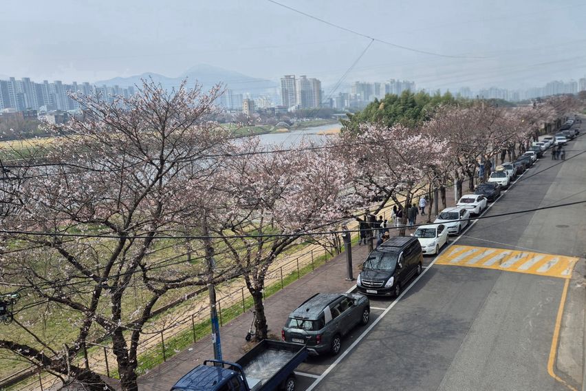 태화강국가정원 담긴집♧ 17번째 이미지