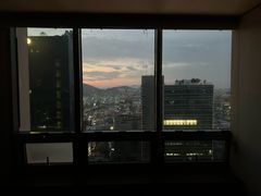 5분👋신사가로수압구정 11번째 이미지